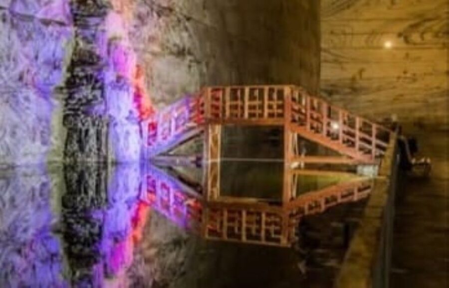 Bucharest: Slanic Salt Mine & Carpathian Mountains Day Tour - Guide and Driver Quality: Why It Changes the Trip
