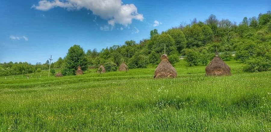 Bucharest: The Biggest Salt Mine in Europe & Wine Tasting - Who Should Book This Salt Mine and Wine Day Trip?