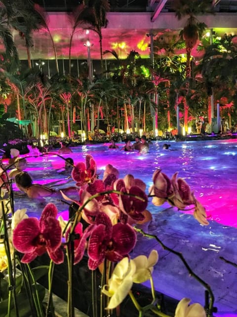 Bucharest: Therme Spa Night Experience with Transfer - Key points to know before you go