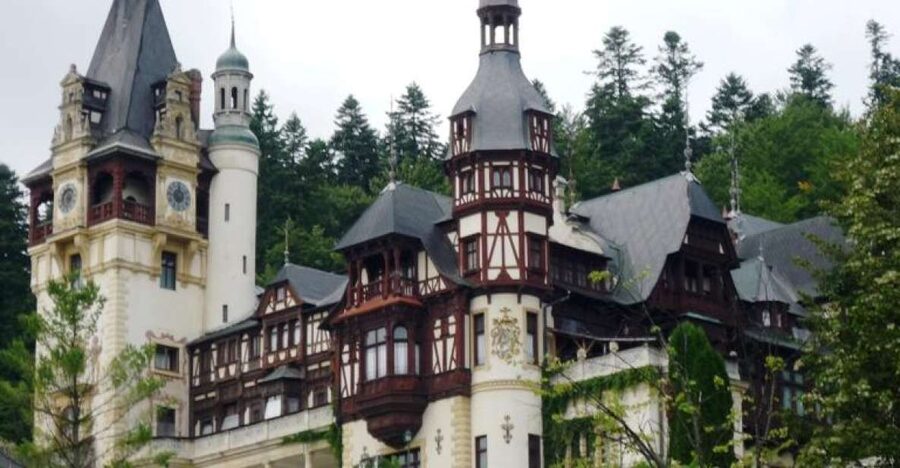 Bucharest: Transylvania and Dracula's Castle 2-Day Tour - The Transylvania Driving Day: Comfort, Timing, and Motion-Sickness Reality