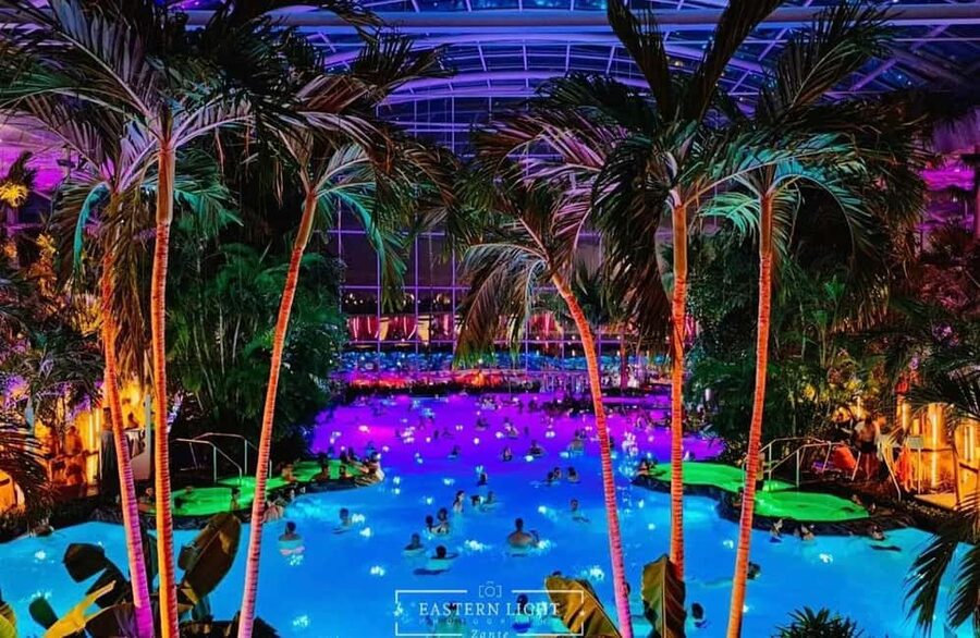 Bucuresti: Bucuresti Therme Transfer and Full-Day Access - The Palm area: a calmer wellness reset