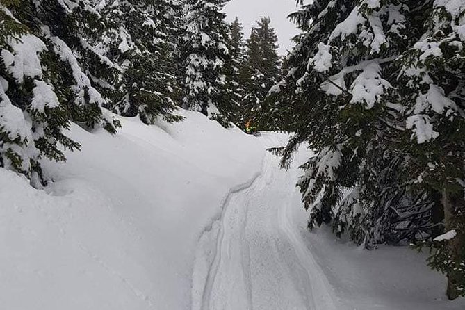 Carpathian mountains Snowmobile, ATV or Buggy tour in one day - Peles Castle Stop: The Ticket Is Extra, the Time Is Real