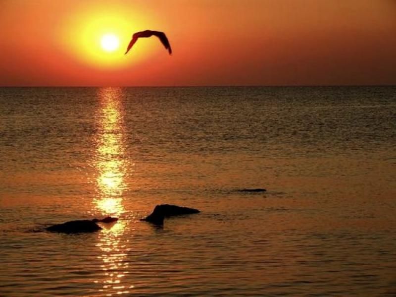 Constanta: Full Day Tour from Bucharest to the Black Sea - From Benjamin Franklin to Constanta’s waterfront in one day
