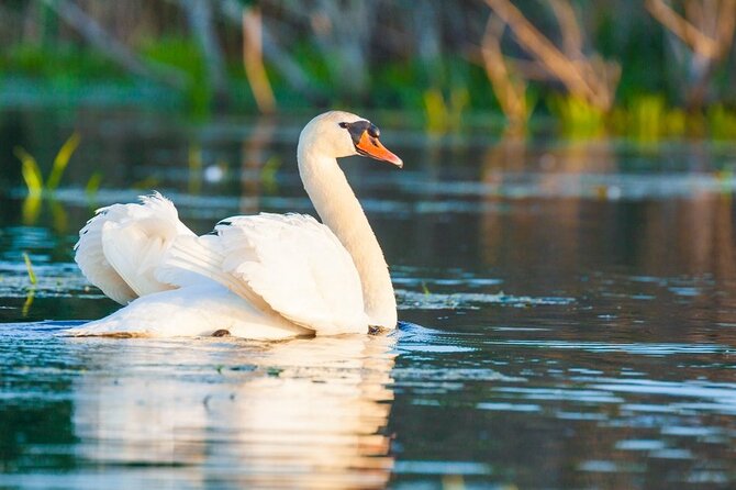 Danube Delta and Black See - 2 Days Private Tour from Bucharest - Price and value: is $1,239.07 per person fair for this 2-day private tour?