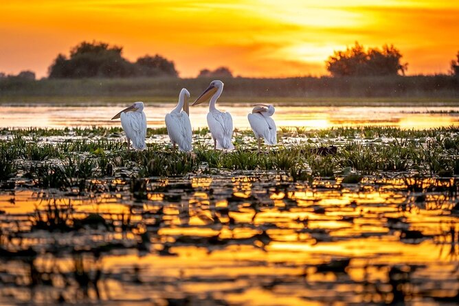 Danube Delta and Black See - 2 Days Private Tour from Bucharest - Should you book this tour or not?