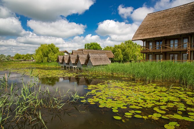 Day Trip from Bucharest to Danube Delta - On the water with a local guide: 4 to 5 hours of wildlife watching