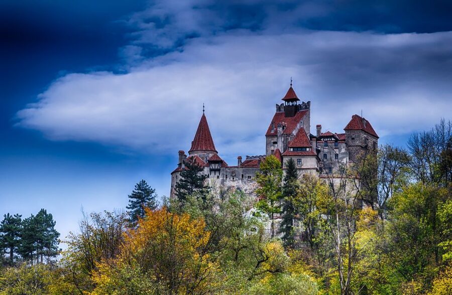 Discover Transylvania: Peles, Bran, Sighisoara in 2 days - Price and value: is $695 per person fair?