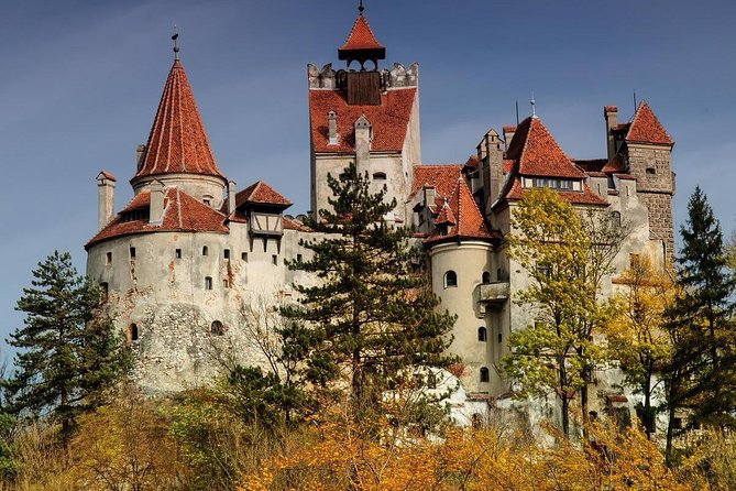 Dracula Castle, Peles Castle & Brasov-Private Tour from Bucharest - Peleș Castle: Fairytale Craft, and the Ticket Reality