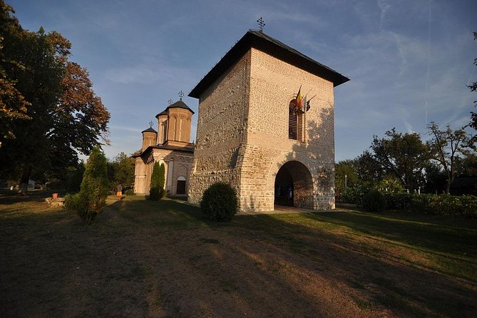 Dracula's Tomb and Mogosoaia Palace, Private Tour from Bucharest - How the private format keeps things calm and efficient from Bucharest