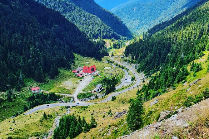 Executive Dracula Day Trip - See Bran & Peles Castle, Brasov from Bucharest - Who this tour fits best (and who should consider alternatives)