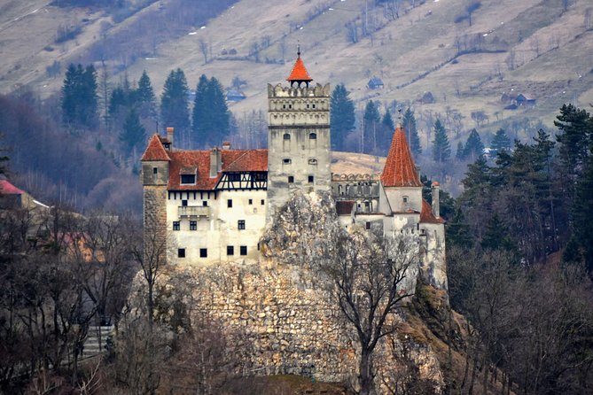 Explore Transylvania: Dracula, Peles Castle & Brasov Private Tour - Hotel Pickup, Private Vehicle Comfort, and Real Breaks