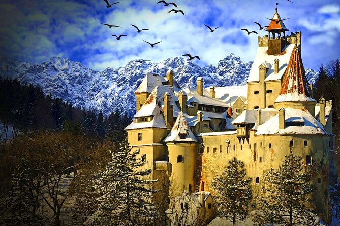 Explore Transylvania: Dracula, Peles Castle & Brasov Private Tour - Price and What You Actually Pay For