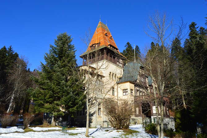 Fairytale Castles of Romania Tour - Bran Castle, Draculas Castle (2 hours): when legends meet queues