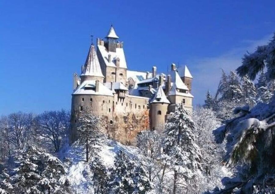 From Bucharest: 2-Day Tour to Brasov and Sighisoara - Important Practical Notes You Should Not Skip