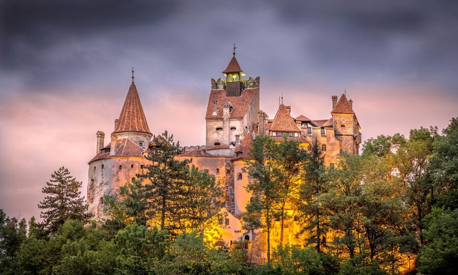 From Bucharest: A Taste of Transylvania: Private Tour - Who Should Book This Transylvania Taste (and Who Should Not)