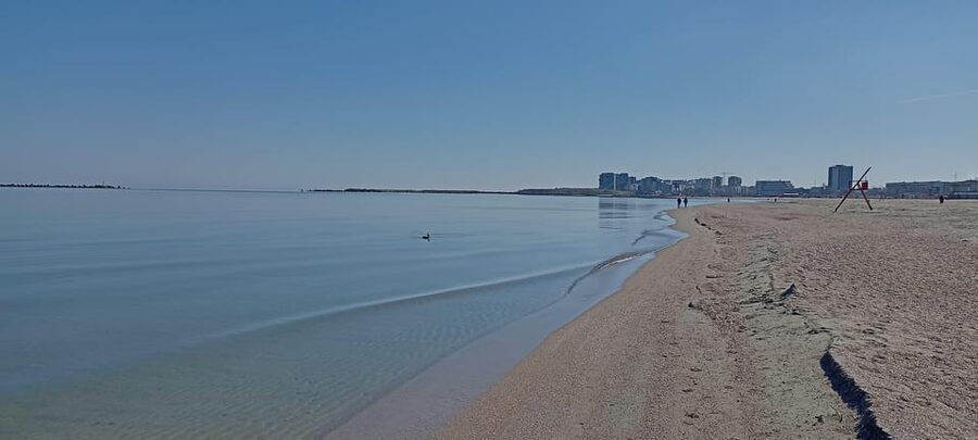 From Bucharest: Black Sea Constanța Day Tour - Bucharest to the Black Sea, a day that moves and breathes