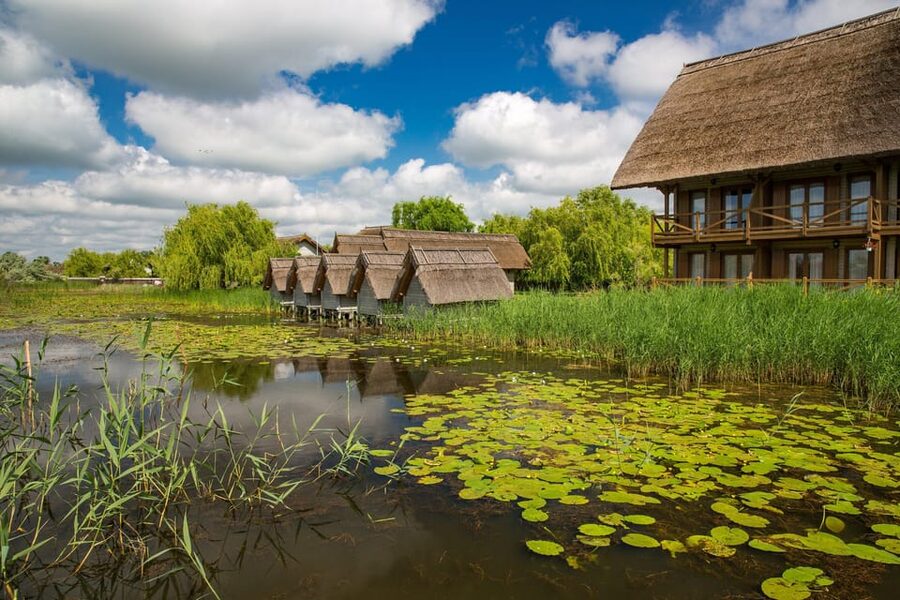 From Bucharest: Day Trip to Danube Delta - Getting to the delta: the early start and long van ride