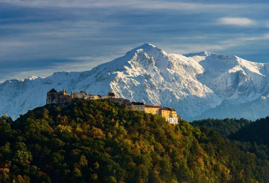 From Bucharest: Day Trip to Dracula and Peles Castle - Lunch, Q&A with your guide, and time to ask the real questions