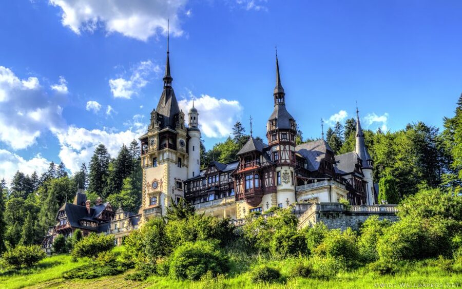From Bucharest: Day Trip to Dracula and Peles Castle - Practical tips to make the day easier