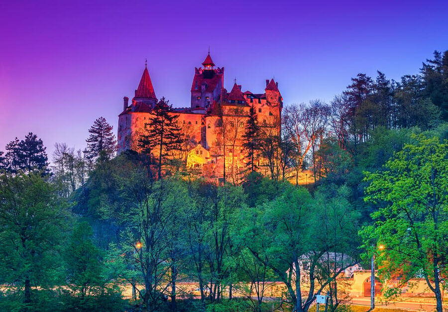 From Bucharest : Day Trip to Peles, Dracula's Castle, Brasov - Timing and where the day can feel tight