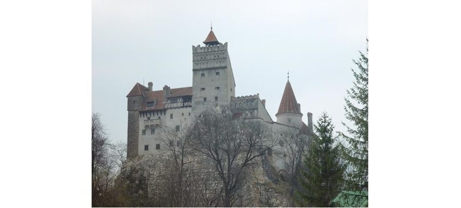 From Bucharest: Dracula Castle Day Trip - Peleș Palace with a guided hour you can actually use