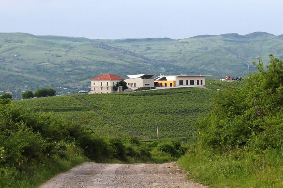 From Bucharest: Exclusive Dealu Mare Wine Tasting Tour - Why Dealu Mare is such a smart wine day from Bucharest