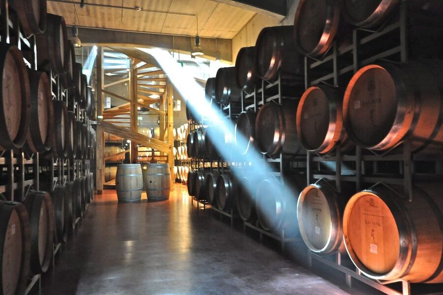 From Bucharest: Exclusive Dealu Mare Wine Tasting Tour - Lunch break, local flavors, and timing realities