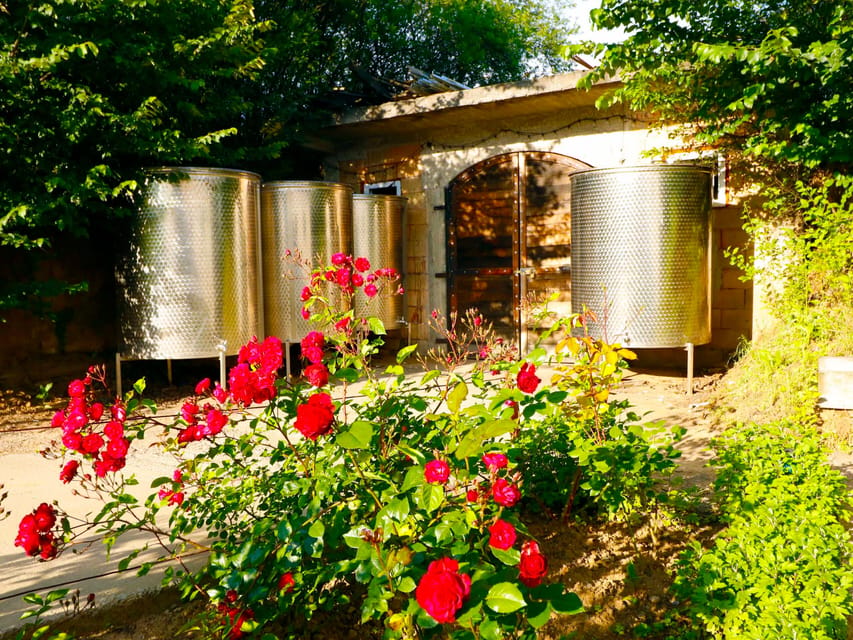 From Bucharest: Exclusive Dealu Mare Wine Tasting Tour - 1000 Chipuri Winery: family craft, barrel or tank sampling, Romanian standouts