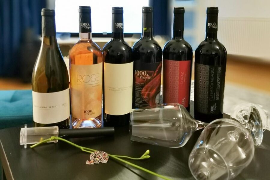 From Bucharest: Exclusive Dealu Mare Wine Tasting Tour - Your guide can make or break the day