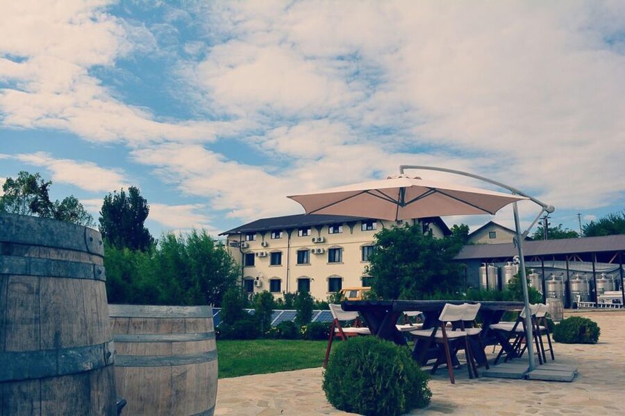 From Bucharest: Exclusive Dealu Mare Wine Tasting Tour - Price and value for a private Dealu Mare wine day