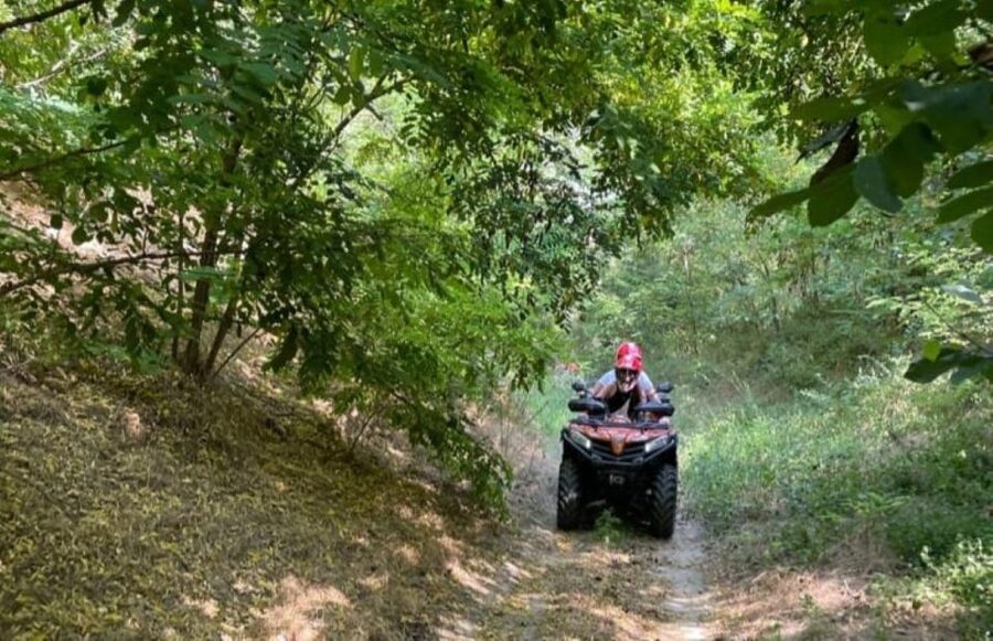 From Bucharest: Forest and Hills ATV Quad Bike Tour - Photos and Videos: Nice to Have, Not Required