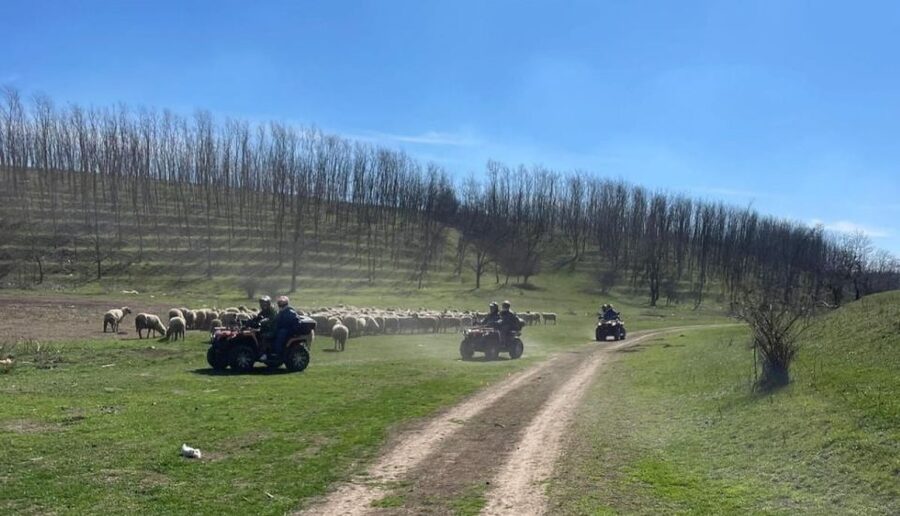 From Bucharest: Forest and Hills ATV Quad Bike Tour - Packing for Mud, Cold, and Shoes That Can Take It