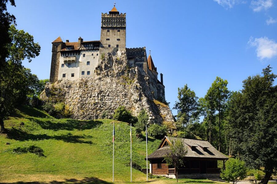 From Bucharest: Libearty Bear Sanctuary and Dracula's Castle - Key things to know before you go