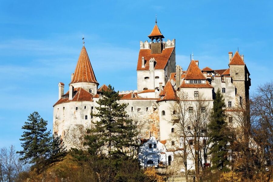 From Bucharest: Libearty Bear Sanctuary and Dracula's Castle - A 10-hour Transylvania day trip that fits a tight Bucharest stay