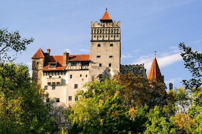 In Search of Dracula and the Teutons in Transylvania Full-Day Private Tour - Targoviste Princely Court: Wallachian Power Before the Legend Gets Loud