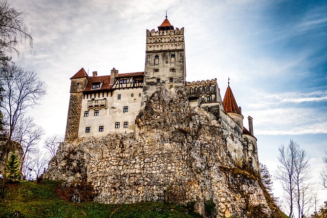 Legends&Wildlife Awaits: Dracula's Castle & Bear Sanctuary - Why this Dracula and bear combo feels so smart