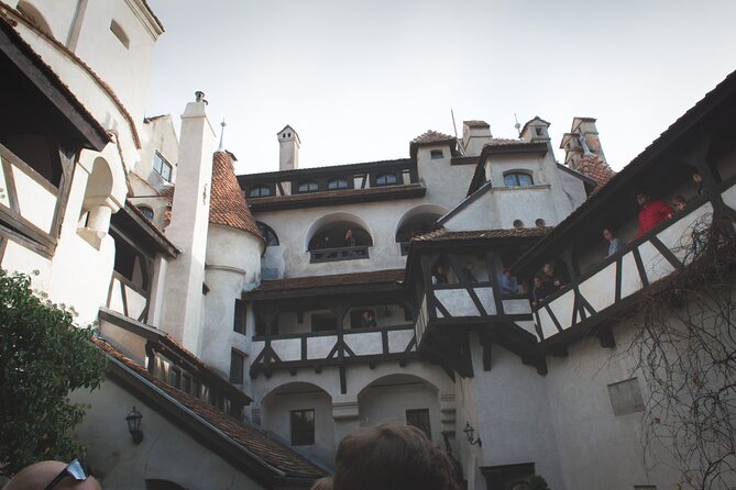Legends&Wildlife Awaits: Dracula's Castle & Bear Sanctuary - How to get the most out of a bear sanctuary visit in one hour