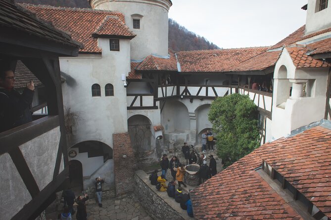 Legends&Wildlife Awaits: Dracula's Castle & Bear Sanctuary - Libearty Bear Sanctuary near Zarnesti: more than a photo stop