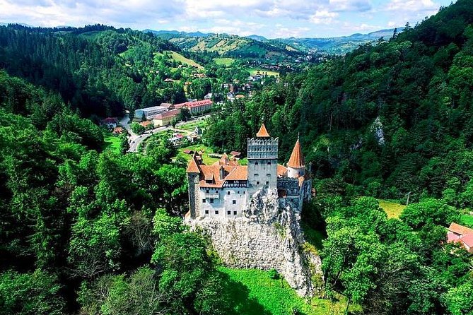 Libearty Bear Sanctuary and Dracula's Castle - Day Tour from Bucharest - Group Size and Scheduling: What a 7-Person Limit Changes