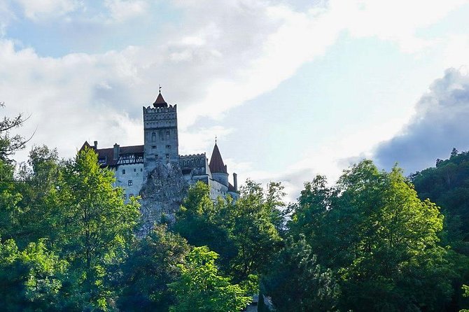 Libearty Bear Sanctuary and Dracula's Castle - Day Tour from Bucharest - Lunch, Breaks, and Food Planning in Transylvania Day Tours