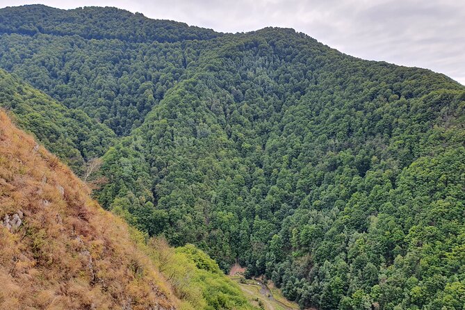 One-Day Vlad the Impaler Royal Court Private Tour from Bucharest - Poenari Castle and the 1480-stair Dracula moment