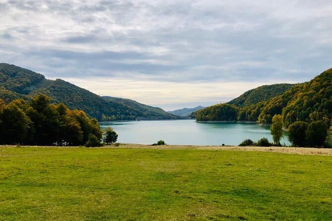 Original Carpathian Village Experience and Sinaia in one day tour - Paltinu Lake and the dam: the calm break that feels wild
