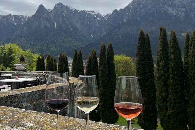 Peles & Cantacuzino Castles: Gourmet Wine & Cultural Day trip - Cantacuzino Castle: The Terrace View Plus a Real 3-Wine Tasting
