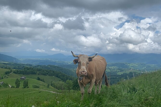 Peles castle and authentic Romanian village experience - day trip - Secăria village: the lunch, the people, and the day that feels off the mass route