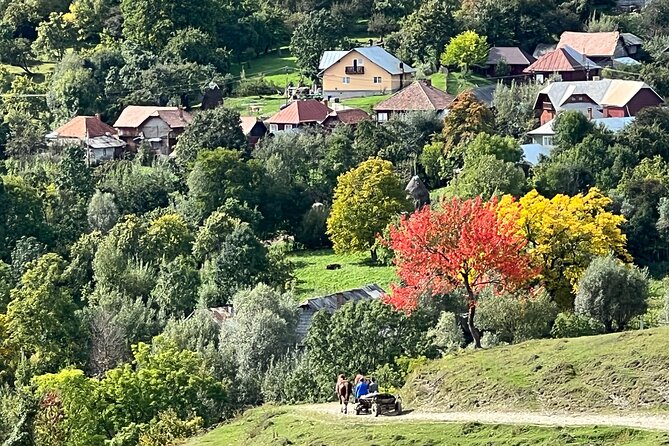 Peles castle and authentic Romanian village experience - day trip - Price and value: what you pay for, and where it feels worth it