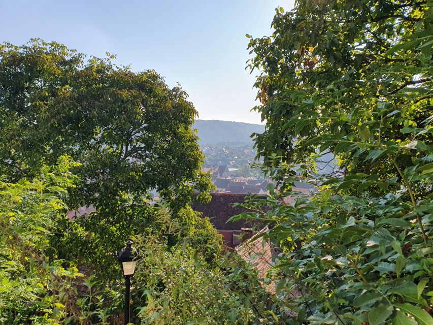Peleș Castle, Bran Castles and Brasov City - Private Tour - Mount Tampa Natural Park and Postavaru Peak Views (Plus That Sunset Feel)