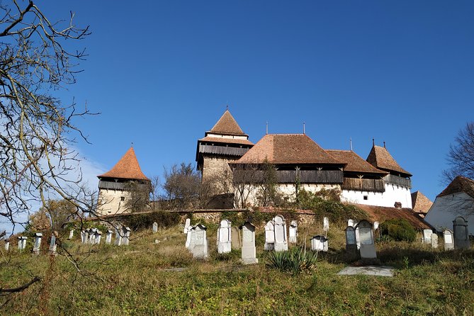 Private 5-Day Tour in Transylvania from Bucharest Hotel Pick-up and Drop off - Day 2: Bear Sanctuary near Piatra Craiului, Viscri’s UNESCO church, and Sighisoara old town