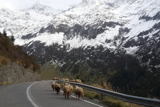 Private 6-Day Dracula Tour in Transylvania from Bucharest - Day 1: Curtea de Arges, Poienari stairs, and the Transfagarasan wow-factor