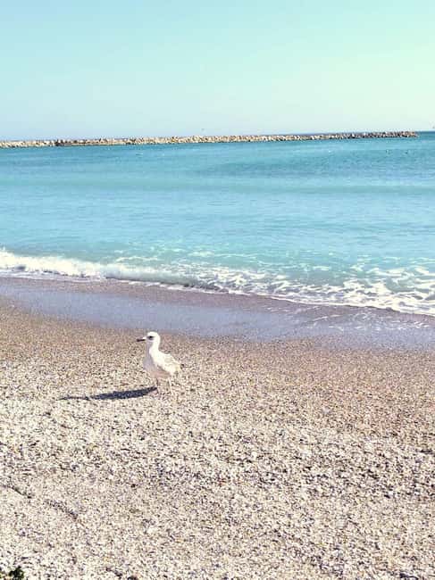 Private Bucharest Tour: Discover Constanța & Black Sea Coast - Museum of Archaeology and History: Greek-Roman Finds Made Personal