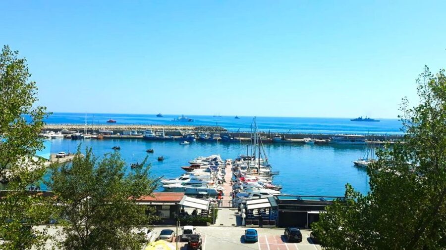 Private Bucharest Tour: Discover Constanța & Black Sea Coast - Price and Value: What $171 per Person Buys You